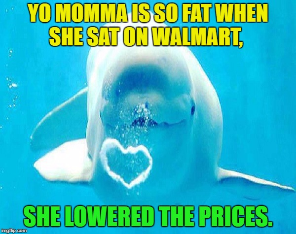 Kill with Kindness Whale | YO MOMMA IS SO FAT WHEN SHE SAT ON WALMART, SHE LOWERED THE PRICES. | image tagged in memes,beluga whale,funny,yo mama joke | made w/ Imgflip meme maker