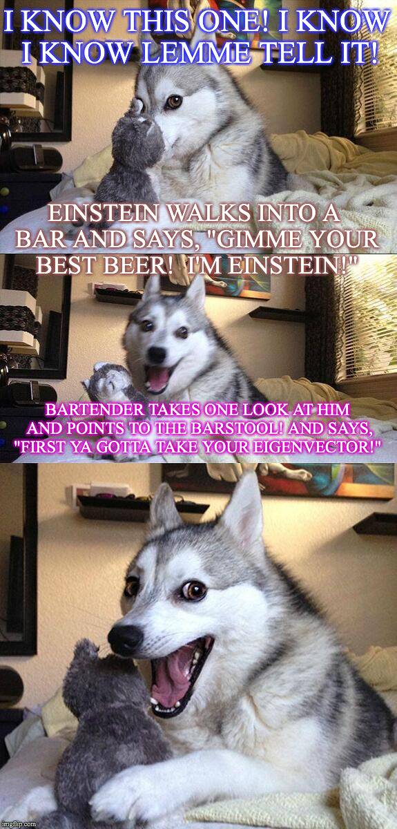 Bad Pun Dog | I KNOW THIS ONE! I KNOW I KNOW LEMME TELL IT! EINSTEIN WALKS INTO A BAR AND SAYS, "GIMME YOUR BEST BEER!  I'M EINSTEIN!"; BARTENDER TAKES ONE LOOK AT HIM AND POINTS TO THE BARSTOOL! AND SAYS, "FIRST YA GOTTA TAKE YOUR EIGENVECTOR!" | image tagged in memes,bad pun dog | made w/ Imgflip meme maker