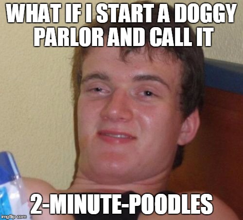 10 Guy | WHAT IF I START A DOGGY PARLOR AND CALL IT; 2-MINUTE-POODLES | image tagged in memes,10 guy | made w/ Imgflip meme maker