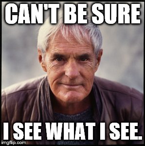 Timothy Leary's dead | CAN'T BE SURE I SEE WHAT I SEE. | image tagged in timothy leary's dead | made w/ Imgflip meme maker