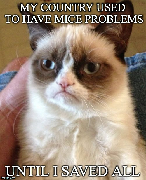 Grumpy Cat Meme | MY COUNTRY USED TO HAVE MICE PROBLEMS UNTIL I SAVED ALL | image tagged in memes,grumpy cat | made w/ Imgflip meme maker