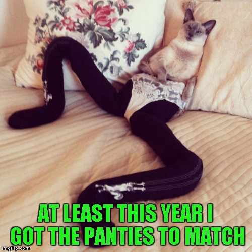 AT LEAST THIS YEAR I GOT THE PANTIES TO MATCH | made w/ Imgflip meme maker