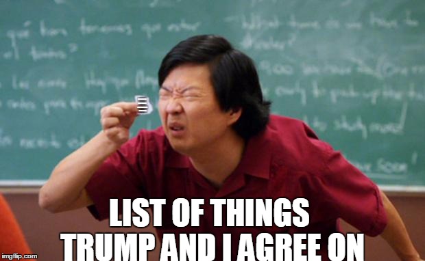 Other Than That: Nada! | HIS DAUGHTER IS HOT AND HE'S AGAINST ALCOHOL AND SMOKING; LIST OF THINGS TRUMP AND I AGREE ON | image tagged in tiny piece of paper,memes,nevertrump,list,political meme,nevertrump meme | made w/ Imgflip meme maker
