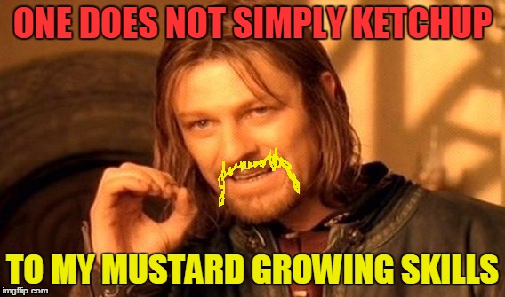 Take That Grammer_Nazis | ONE DOES NOT SIMPLY KETCHUP; TO MY MUSTARD GROWING SKILLS | image tagged in memes,one does not simply | made w/ Imgflip meme maker