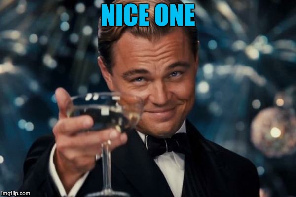 Leonardo Dicaprio Cheers Meme | NICE ONE | image tagged in memes,leonardo dicaprio cheers | made w/ Imgflip meme maker