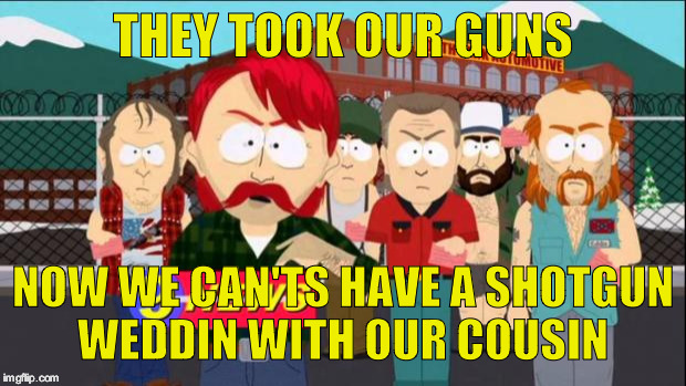 They took our jobs | THEY TOOK OUR GUNS; NOW WE CAN'TS HAVE A SHOTGUN WEDDIN WITH OUR COUSIN | image tagged in they took our jobs | made w/ Imgflip meme maker