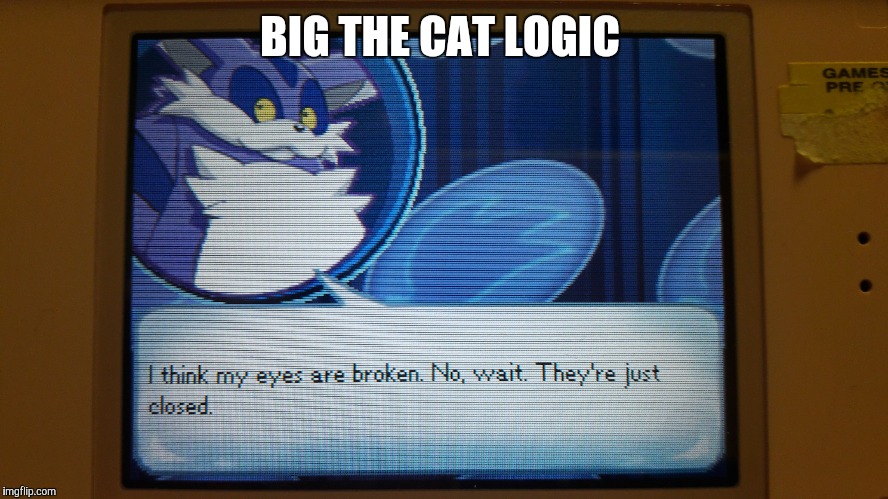 BIG THE CAT LOGIC | image tagged in big the cat | made w/ Imgflip meme maker