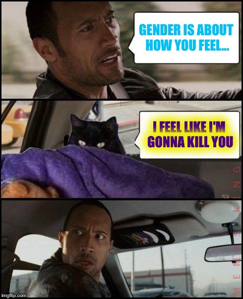 Yay! I have three submissions now! | GENDER IS ABOUT HOW YOU FEEL... I FEEL LIKE I'M GONNA KILL YOU | image tagged in the rock driving evil cat,memes | made w/ Imgflip meme maker