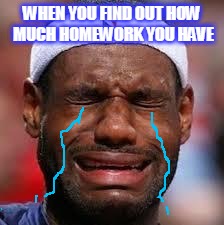 NBA | WHEN YOU FIND OUT HOW MUCH HOMEWORK YOU HAVE | image tagged in nba | made w/ Imgflip meme maker