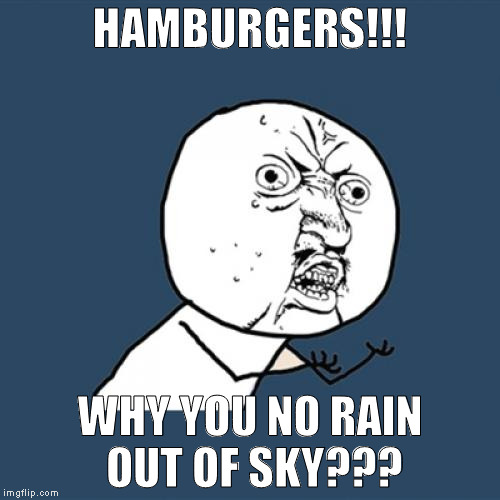 Hamburger Rain | HAMBURGERS!!! WHY YOU NO RAIN OUT OF SKY??? | image tagged in memes,y u no | made w/ Imgflip meme maker