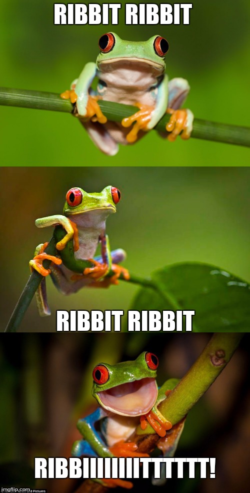 Frog Puns | RIBBIT RIBBIT; RIBBIT RIBBIT; RIBBIIIIIIIITTTTTT! | image tagged in frog puns,ribbit all the way,fog,i don't understand you | made w/ Imgflip meme maker