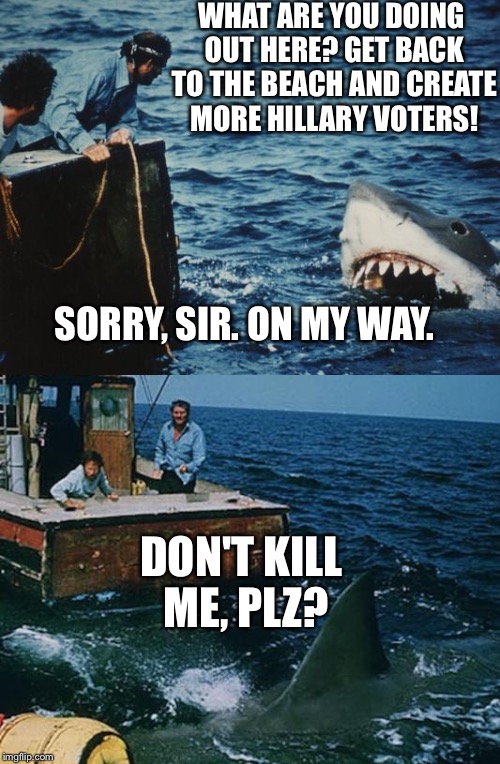 Hai Jaws | WHAT ARE YOU DOING OUT HERE? GET BACK TO THE BEACH AND CREATE MORE HILLARY VOTERS! DON'T KILL ME, PLZ? SORRY, SIR. ON MY WAY. | image tagged in hai jaws | made w/ Imgflip meme maker