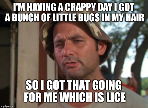 So I Got That Goin For Me Which Is Nice Meme | I'M HAVING A CRAPPY DAY I GOT A BUNCH OF LITTLE BUGS IN MY HAIR; SO I GOT THAT GOING FOR ME WHICH IS LICE | image tagged in memes,so i got that goin for me which is nice | made w/ Imgflip meme maker
