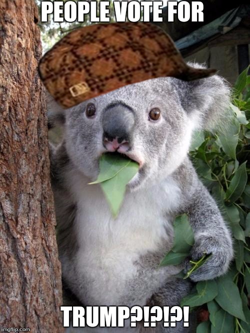 Surprised Koala Meme | PEOPLE VOTE FOR; TRUMP?!?!?! | image tagged in memes,surprised koala,scumbag | made w/ Imgflip meme maker