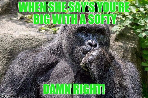 Harambe's softy | WHEN SHE SAY'S YOU'RE BIG WITH A SOFTY; DAMN RIGHT! | image tagged in dick,harambe | made w/ Imgflip meme maker