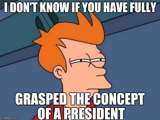 Some people... | I DON'T KNOW IF YOU HAVE FULLY; GRASPED THE CONCEPT OF A PRESIDENT | image tagged in memes,futurama fry | made w/ Imgflip meme maker