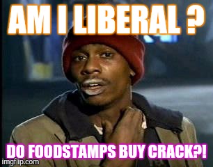 Y'all Got Any More Of That | AM I LIBERAL ? DO FOODSTAMPS BUY CRACK?! | image tagged in memes,yall got any more of | made w/ Imgflip meme maker