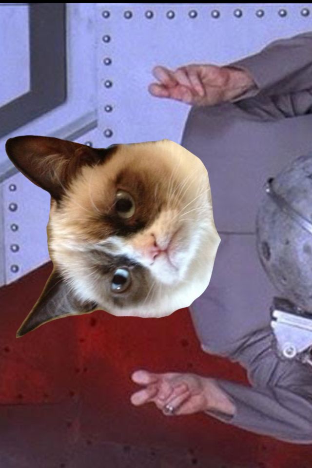 Dr evil grumpy cat Blank Meme Template