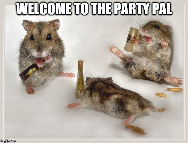 WELCOME TO THE PARTY PAL | made w/ Imgflip meme maker