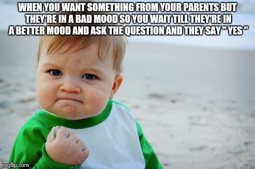 Success Kid Original Meme | WHEN YOU WANT SOMETHING FROM YOUR PARENTS BUT THEY'RE IN A BAD MOOD SO YOU WAIT TILL THEY'RE IN A BETTER MOOD AND ASK THE QUESTION AND THEY SAY " YES " | image tagged in memes,success kid original | made w/ Imgflip meme maker