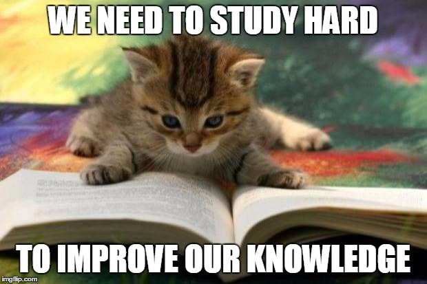 Cats Study hard | WE NEED TO STUDY HARD; TO IMPROVE OUR KNOWLEDGE | image tagged in memes,cats | made w/ Imgflip meme maker