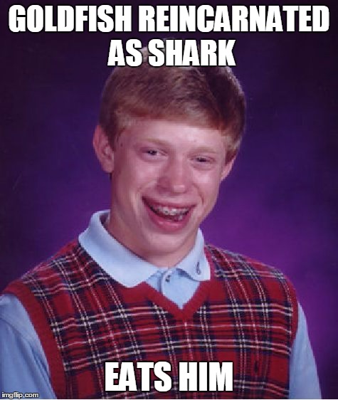 Bad Luck Brian Meme | GOLDFISH REINCARNATED AS SHARK EATS HIM | image tagged in memes,bad luck brian | made w/ Imgflip meme maker