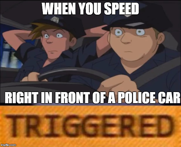 They think it's pretty hilarious, too | WHEN YOU SPEED; RIGHT IN FRONT OF A POLICE CAR | image tagged in anime,sonic,police,cime,triggered | made w/ Imgflip meme maker
