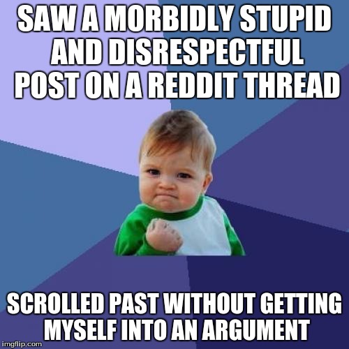 Once you can do this, you've unlocked the door to true internet happiness! | SAW A MORBIDLY STUPID AND DISRESPECTFUL POST ON A REDDIT THREAD; SCROLLED PAST WITHOUT GETTING MYSELF INTO AN ARGUMENT | image tagged in memes,success kid | made w/ Imgflip meme maker