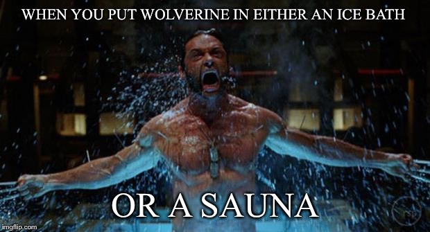 WOLVERINE | WHEN YOU PUT WOLVERINE IN EITHER AN ICE BATH; OR A SAUNA | image tagged in wolverine | made w/ Imgflip meme maker