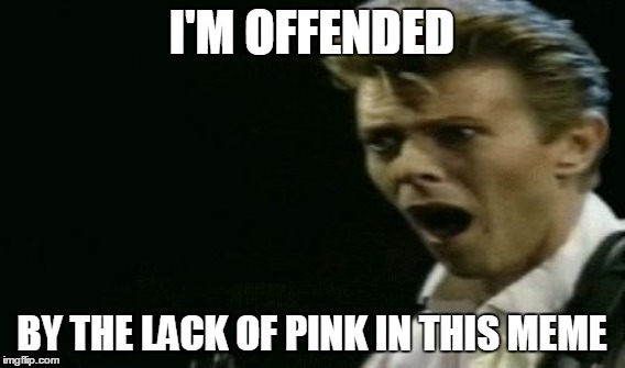 I'M OFFENDED BY THE LACK OF PINK IN THIS MEME | made w/ Imgflip meme maker