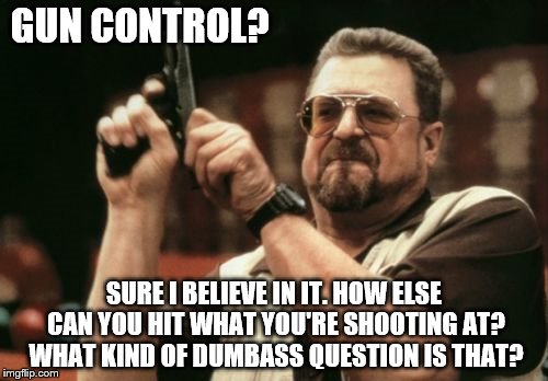 Am I The Only One Around Here | GUN CONTROL? SURE I BELIEVE IN IT. HOW ELSE CAN YOU HIT WHAT YOU'RE SHOOTING AT? WHAT KIND OF DUMBASS QUESTION IS THAT? | image tagged in memes,am i the only one around here | made w/ Imgflip meme maker