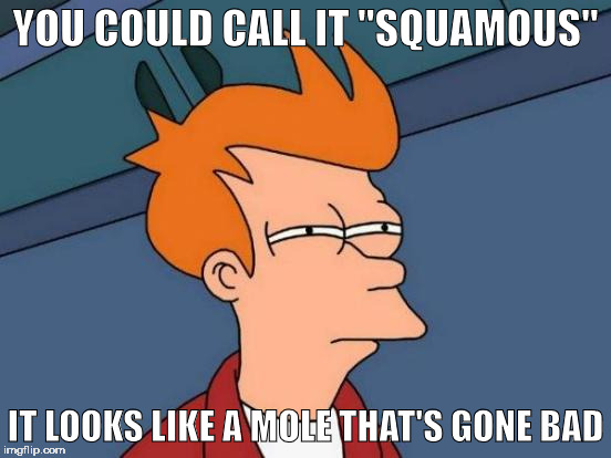 Futurama Fry Meme | YOU COULD CALL IT "SQUAMOUS" IT LOOKS LIKE A MOLE THAT'S GONE BAD | image tagged in memes,futurama fry | made w/ Imgflip meme maker