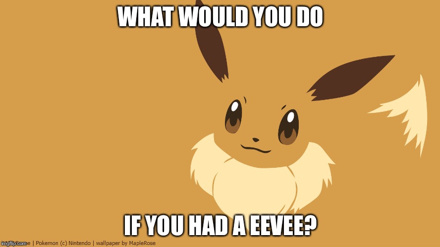 So many things... | WHAT WOULD YOU DO; IF YOU HAD A EEVEE? | image tagged in pokemon,hard,eevee | made w/ Imgflip meme maker