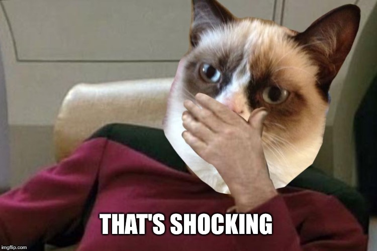 Grumpy cat Picard facepalm  | THAT'S SHOCKING | image tagged in grumpy cat picard facepalm | made w/ Imgflip meme maker