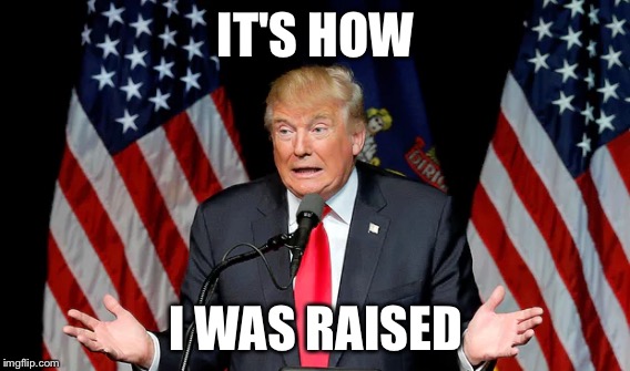Don't Be Raised-ist ! | IT'S HOW; I WAS RAISED | image tagged in donald trump,what's your excuse | made w/ Imgflip meme maker