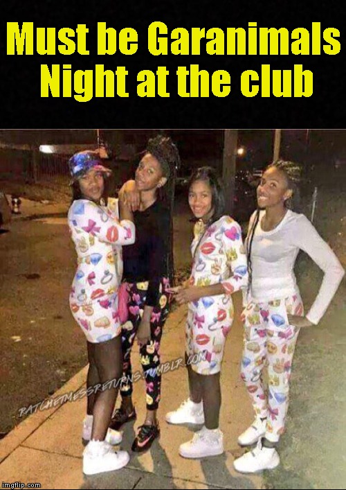 Meanwhile, at the club.... | Must be Garanimals Night at the club | image tagged in club,clubbing,in da club,night club,dankmemes,dank memes | made w/ Imgflip meme maker