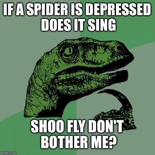 Philosoraptor | IF A SPIDER IS DEPRESSED DOES IT SING; SHOO FLY DON'T BOTHER ME? | image tagged in memes,philosoraptor | made w/ Imgflip meme maker