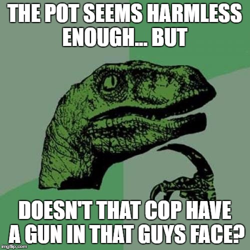 Philosoraptor Meme | THE POT SEEMS HARMLESS ENOUGH... BUT DOESN'T THAT COP HAVE A GUN IN THAT GUYS FACE? | image tagged in memes,philosoraptor | made w/ Imgflip meme maker