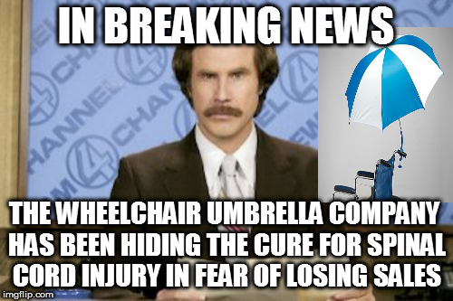 The mighty wheelchair umbrella company is too big to fail. | IN BREAKING NEWS; THE WHEELCHAIR UMBRELLA COMPANY HAS BEEN HIDING THE CURE FOR SPINAL CORD INJURY IN FEAR OF LOSING SALES | image tagged in anchorman news update | made w/ Imgflip meme maker