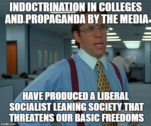 That Would Be Great Meme | INDOCTRINATION IN COLLEGES AND PROPAGANDA BY THE MEDIA HAVE PRODUCED A LIBERAL SOCIALIST LEANING SOCIETY THAT THREATENS OUR BASIC FREEDOMS | image tagged in memes,that would be great | made w/ Imgflip meme maker