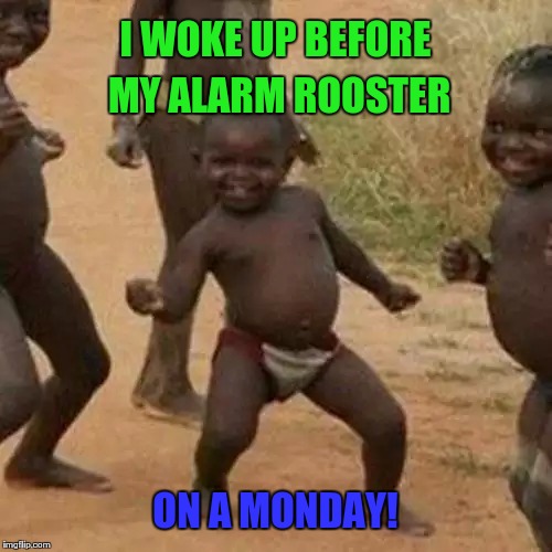 Third World Success Kid | I WOKE UP BEFORE MY ALARM ROOSTER; ON A MONDAY! | image tagged in memes,third world success kid | made w/ Imgflip meme maker