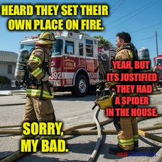 HEARD THEY SET THEIR OWN PLACE ON FIRE. YEAH, BUT ITS JUSTIFIED - THEY HAD A SPIDER IN THE HOUSE. SORRY, MY BAD. | made w/ Imgflip meme maker