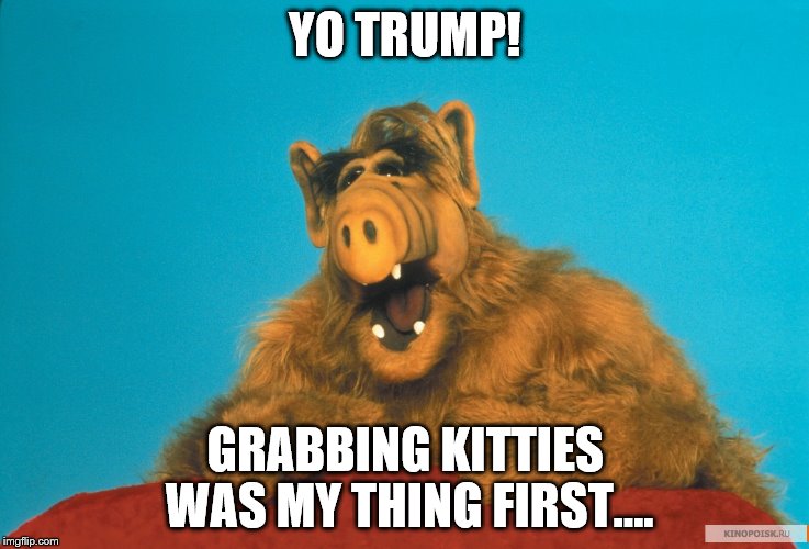 trump | YO TRUMP! GRABBING KITTIES WAS MY THING FIRST.... | image tagged in trump | made w/ Imgflip meme maker