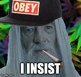 gandalf obey cap | I INSIST | image tagged in gandalf obey cap | made w/ Imgflip meme maker