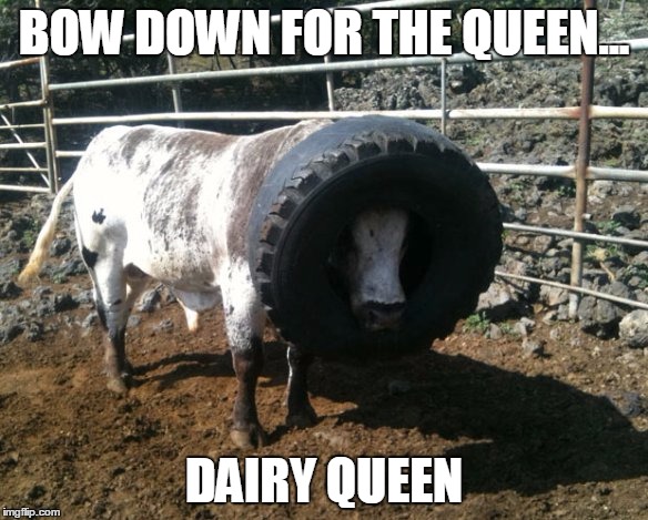 BOW DOWN FOR THE QUEEN... DAIRY QUEEN | image tagged in funny | made w/ Imgflip meme maker