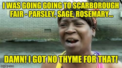 Ain't Nobody Got Time For That Meme | I WAS GOING GOING TO SCARBOROUGH FAIR - PARSLEY, SAGE, ROSEMARY... DAMN! I GOT NO THYME FOR THAT! | image tagged in memes,aint nobody got time for that,simon and garfunkel | made w/ Imgflip meme maker
