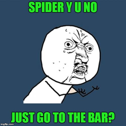 Y U No Meme | SPIDER Y U NO JUST GO TO THE BAR? | image tagged in memes,y u no | made w/ Imgflip meme maker
