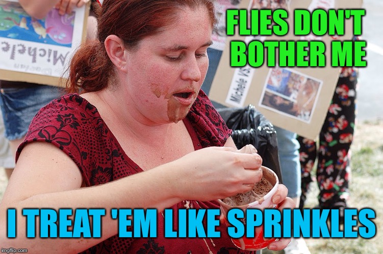 FLIES DON'T BOTHER ME I TREAT 'EM LIKE SPRINKLES | made w/ Imgflip meme maker