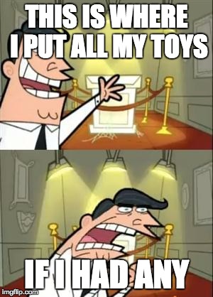 This Is Where I'd Put My Trophy If I Had One | THIS IS WHERE I PUT ALL MY TOYS; IF I HAD ANY | image tagged in memes,this is where i'd put my trophy if i had one | made w/ Imgflip meme maker