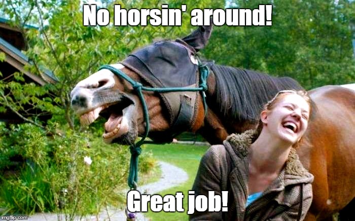 Horse LOL | No horsin' around! Great job! | image tagged in horse lol | made w/ Imgflip meme maker